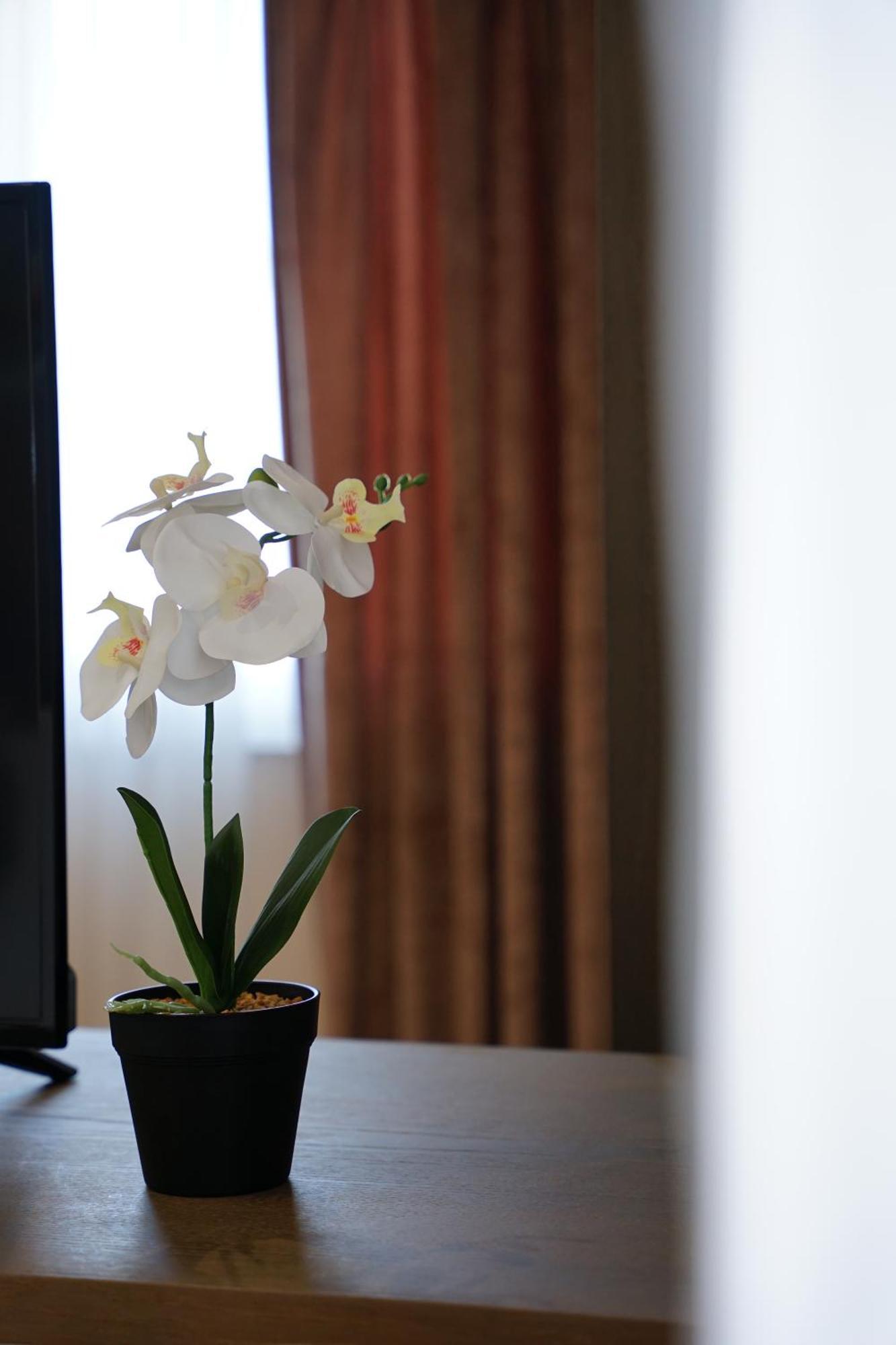 Doanesia Premium Hotel & Spa Tirana Exterior photo